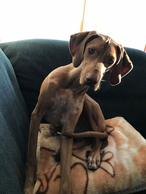 34985124_1715423501876505_7226154949351047168_n