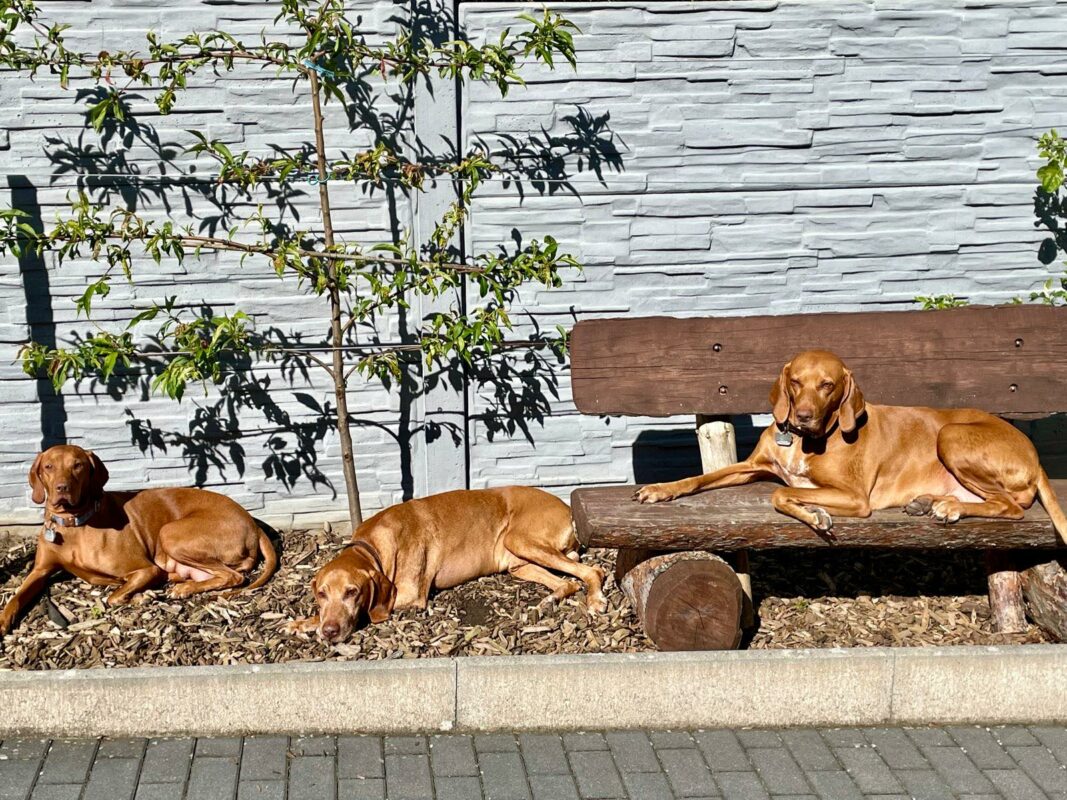 438154502_970389334463567_6556148740393957072_n