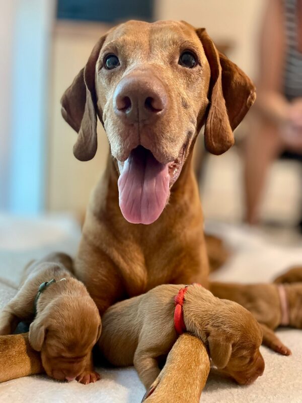 Wunderbare Mama